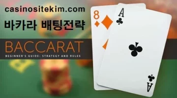 바카라-배팅전략-특성화사진-카지노사이트킴