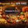 Pragmatic Play 완벽가이드